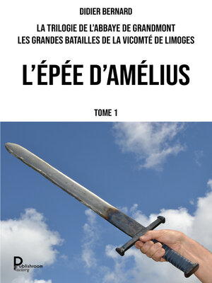 cover image of L'épée d'Amélius